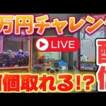 【2万円】クレーンゲームで何個取れるのか！？ #UFOキャッチャー #自宅ゲーセン #クレーンゲーム