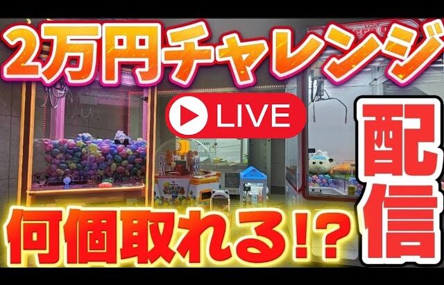 【2万円】クレーンゲームで何個取れるのか！？ #UFOキャッチャー #自宅ゲーセン #クレーンゲーム
