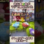 【2連続ゲット！】🔰初心者台やってみたらマジで親切だった #クレーンゲーム攻略 #ufoキャッチャー攻略 #shorts