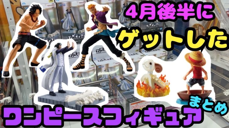 【クレーンゲーム】2025年4月後半にゲットしたワンピースフィギュアまとめ