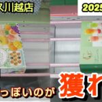 【月刊ベネクス川越店】クレーンゲーム日本一獲れるお店で夏っぽい景品の取るコツを紹介 #2025年5月