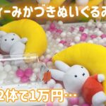 【クレーンゲーム】お月様ミッフィーぬいぐるみ2体を獲得するのに1万円も掛かってしまった末路がこちら