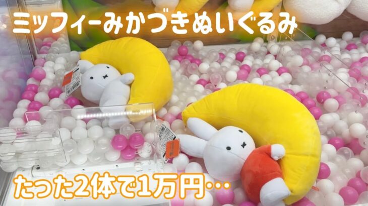 【クレーンゲーム】お月様ミッフィーぬいぐるみ2体を獲得するのに1万円も掛かってしまった末路がこちら