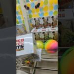 【クレーンゲーム】エラー24を引き起こすもGET!【SAKAMOTO DAYS】#Shorts