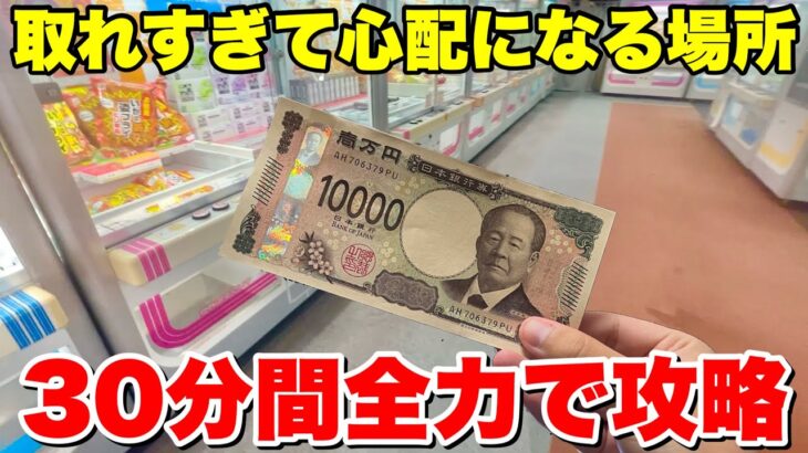 取れすぎて心配になったゲーセン、30分間全力攻略が最高過ぎた…【クレーンゲーム】