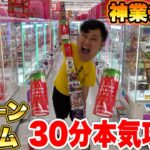 【大量】30分間でクレーンゲーム攻略チャレンジしたら神業ンダホはどれくらい取れるの！？