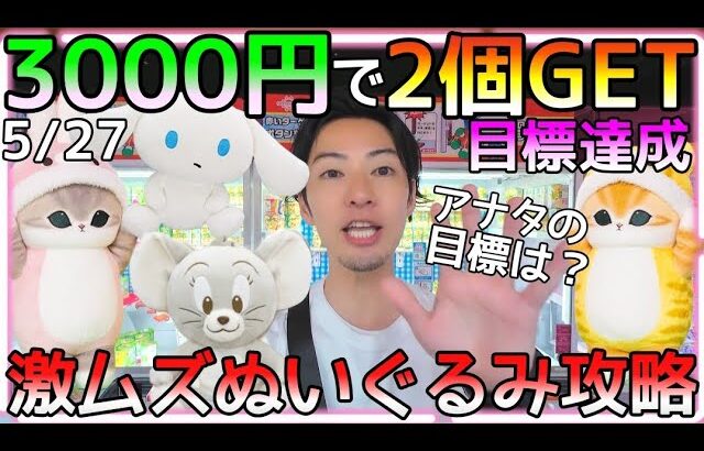 3000円で2個は上出来!!激ムズぬいぐるみリベンジ成功で目標達成！アナタの目標は？