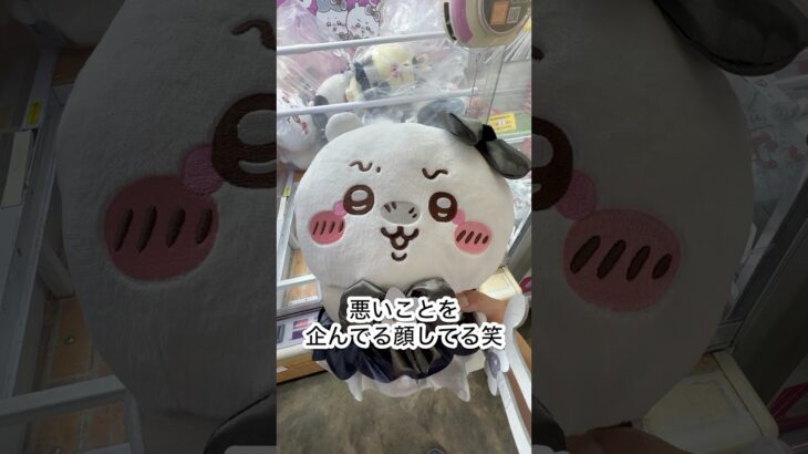 【ベネクス浦和店】新作ちいかわ景品！4連続1発取りなるか！！