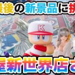 【結屋新世界店さん】5月最後の新景品に挑戦！！！【クレーンゲーム】