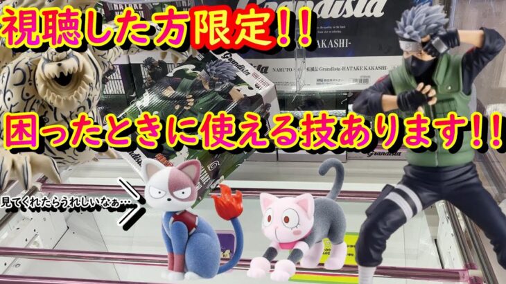 【クレーンゲーム】5月も新景品がアツい！！ので、早速ゲットしてきた！！【川万】【川ベネ】