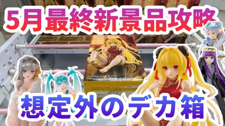【クレーンゲーム】5月最終新景品攻略 想定外のデカ箱 DesktopCute 金色の闇