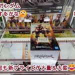 【クレーンゲーム】✨5月27日新プライズ実践✨😘