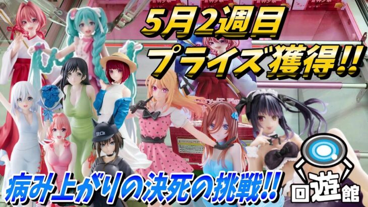 【クレーンゲーム】5月2週目登場のプライズフィギュア獲得‼病み上がりの中、決死の挑戦‼#ufoキャッチャー #クレーンゲーム #一番くじ #フィギュア #プライズ #回遊館#倉庫系