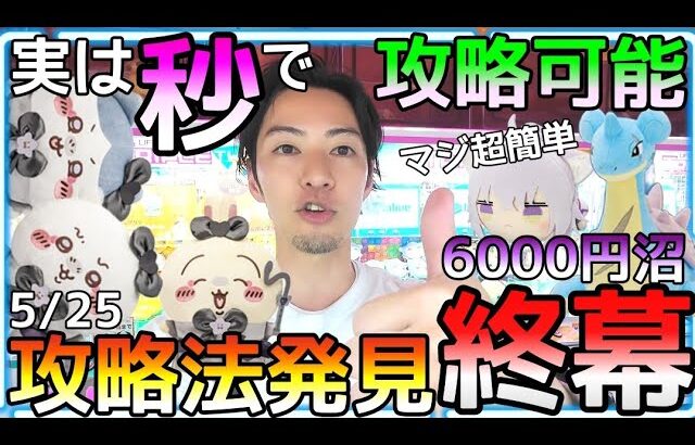 実はワンパン攻略可能な新作ちいかわ！それに気付き6000円沼りに終幕！