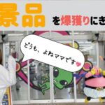 【クレーンゲーム】8　　#とれとる米原店　で新景品早速ゲットしてきました💖