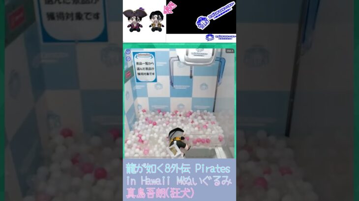 龍が如く8外伝 Pirates in Hawaii Mぬいぐるみ 真島吾朗(狂犬) #sega ##セガUFOキャッチャーオンライン #クレーンゲーム #三本爪 #龍が如く #セガプライズ