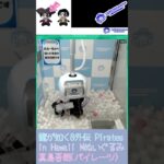 龍が如く8外伝 Pirates in Hawaii Mぬいぐるみ 真島吾朗(パイレーツ) #sega ##セガUFOキャッチャーオンライン #クレーンゲーム #三本爪 #龍が如く #セガプライズ