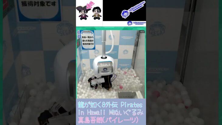龍が如く8外伝 Pirates in Hawaii Mぬいぐるみ 真島吾朗(パイレーツ) #sega ##セガUFOキャッチャーオンライン #クレーンゲーム #三本爪 #龍が如く #セガプライズ