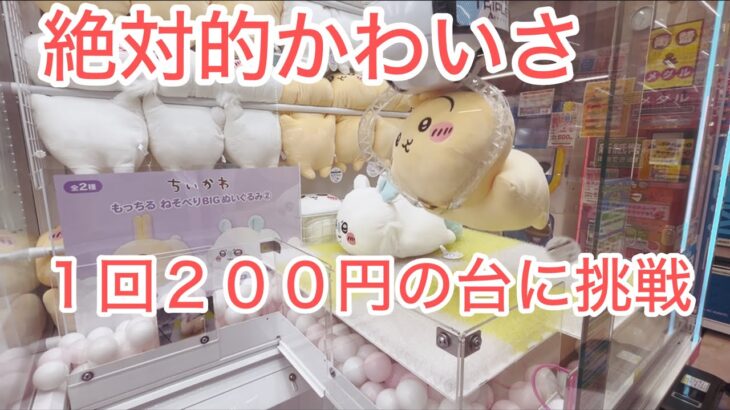 【ちいかわ】もっちるねそべりBIGぬいぐるみのうさちゃんゲットしました♡