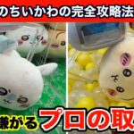 【クレーンゲーム】ちいかわ・もっちるねそべりBIGぬいぐるみ②を確率に頼らず攻略３選！