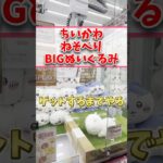 【ちいかわ】クレーンゲームでねそべりBIGぬいぐるみを取る　  #ちいかわ  #クレーンゲーム  #ufoキャッチャー  #shorts