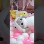 Crane game to save money?! Is it possible? #clawmachine