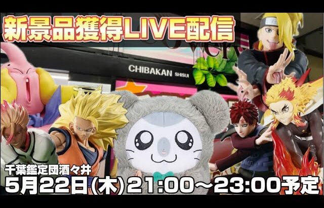 大勝利メンズDAY⁉️新景品プライズフィギュアを爆速で取っていく‼️【クレーンゲームのコツ】