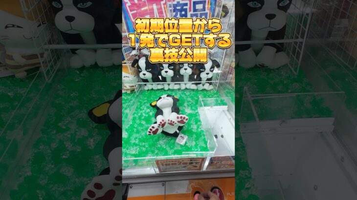 初期位置からワンパンでぬいぐるみをGETする裏技公開！