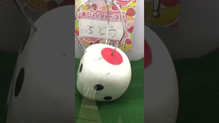 巨大サイコロ転がして高級ぶどうGETしてみたww#クレーンゲーム