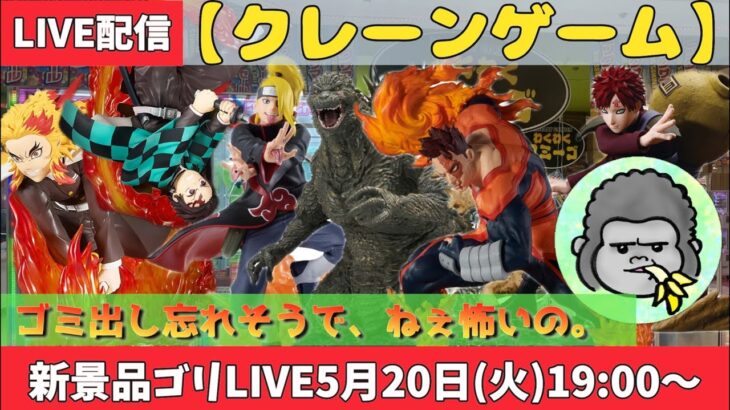 【クレーンゲーム】新景品ゴリLIVE🦍5月20日（火）19時〜