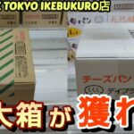 【ME TOKYO IKEBUKURO店】クレーンゲーム東京一獲れるお店で特大の箱の景品を取るコツを紹介