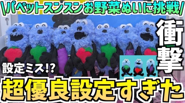 【スンスンクレゲ】最新プライズお野菜ぬいぐるみのクレゲに挑戦！【パペットスンスングッズ】【クレーンゲーム】【プライズ景品】【PUPPET SUNSUN】【UFOキャッチャー】【推し活】