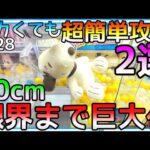 限界まで巨大化!!ROUND1で60cm級の超どデカいぬいぐるみを超簡単に攻略2選！