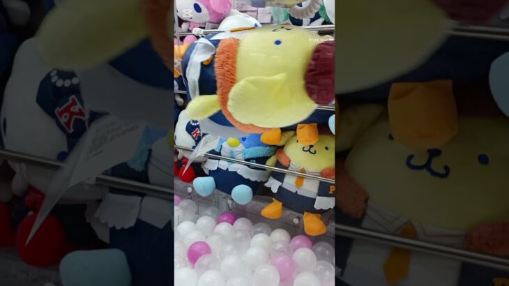 【ポムポムプリン新作】クレーンゲーム攻略はコレ👈　  #クレーンゲームコツ#サンリオ#Sanrio#ポムポムプリン#ぬいぐるみ新作#おもちゃ#Pompompurin#布丁狗#cranemachine