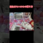 #ちいかわ #クレーンゲーム #ゲーセン #攻略 #確率無視 #確率機 #ハチワレ #うさぎ #誕生日ちいかわ  ちいかわ ゲームセンター  TikTok