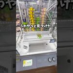 【ゲーセン】Tiktokで大バズりした景品を見つけたのでいくらで取れるか挑戦しました。(クレーンゲーム)