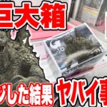 【クレーンゲーム】超巨大箱のプライズフィギュアにリベンジしたらヤバイ事に！？#橋渡し設定 #UFOキャッチャー  #クレーンゲーム