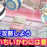 UFOキャッチャー 可愛いちいかわには要注意！長箱景品攻略法！【パンダ先生夫婦のクレーンゲーム】