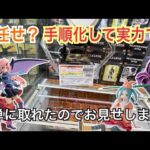 【倉庫系風】とれトレ倉庫と謳うゲーセンに行ってきた（UFOキャッチャー/クレーンゲーム）