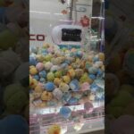 #すみっコぐらし#すみっコ#すみ#景品クレンゲーム#クレーンゲーム#ゲーセン#ゲームセンター#UFOキャッチャー#ゲーム#キャラクター#すみっコキャラクター#キャラ