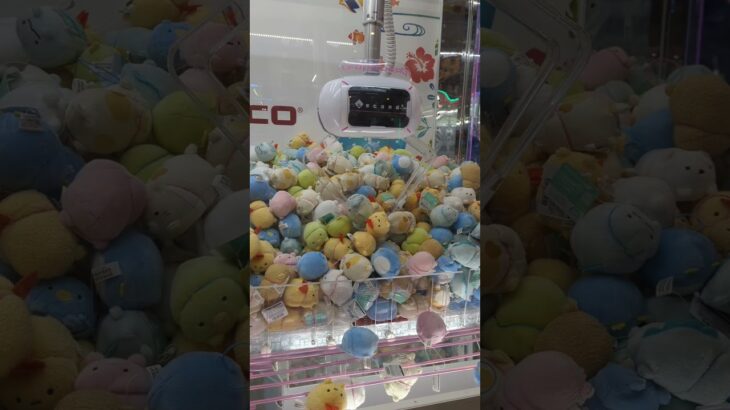 #すみっコぐらし#すみっコ#すみ#景品クレンゲーム#クレーンゲーム#ゲーセン#ゲームセンター#UFOキャッチャー#ゲーム#キャラクター#すみっコキャラクター#キャラ