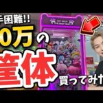 【ガチ輸入】特大三本爪クレーンゲームをアリエクで買ったらヤバかったｗ　#クレーンゲーム #自宅ゲーセン #UFOキャッチャー