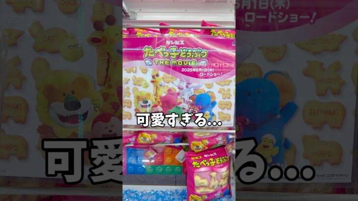 クレーンゲームで見つけた可愛すぎる…これ。#ゲームセンター#たべっ子どうぶつ#UFOキャッチャー#景品