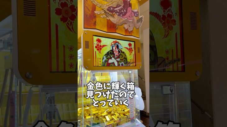 金色に輝く箱が気になるから取ってみる♡︎#クレーンゲーム#UFOキャッチャー#ゲームセンター#景品