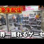 【クレーンゲーム】世界一獲れるゲーセン！大赤字確定の獲り方で新景品を獲り尽くせ！【回遊館養父店・UFOキャッチャー】