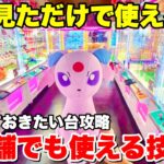一度見ただけで新店舗でも使えるおススメのテクニックを教えます！！！【UFOキャッチャー・クレーンゲーム】サープラ大阪道頓堀あそびタウン　完全版