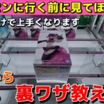 【※ゲーセン行く前に見てください】見るだけで上手くなる裏ワザ教えます！明日から使えるプロの取り方・攻略のコツ【クレーンゲーム】【UFOキャッチャー】