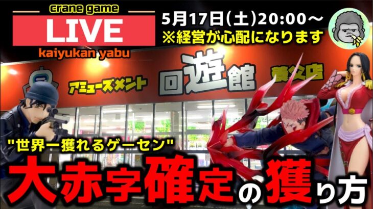 【クレーンゲーム】世界一獲れるゲーセン！大赤字確定の獲り方で新景品を獲り尽くせ！【回遊館養父店・UFOキャッチャー】