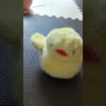 #おすすめにのりたい　　#ひよこ#ヒヨコ#ピヨピヨ#ぴよぴよ#鳥#鶏#とり#景品#ゲーセン#クレンゲーム#クレーンゲーム#ゲームセンター#UFOキャッチャー