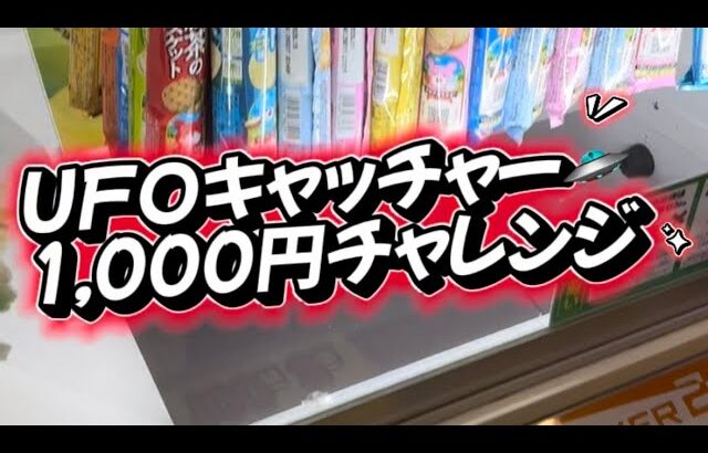 UFOキャッチャー1,000円チャレンジ🛸